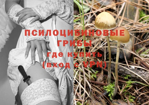 сатива Красноперекопск