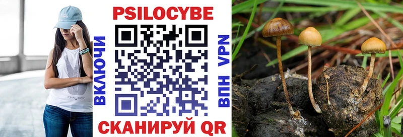 Псилоцибиновые грибы GOLDEN TEACHER Сим